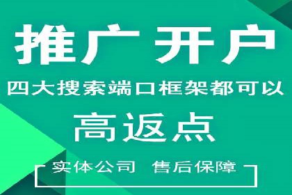 某某sem广告公司成功案例：如何通过SEM优化提高电商销售额